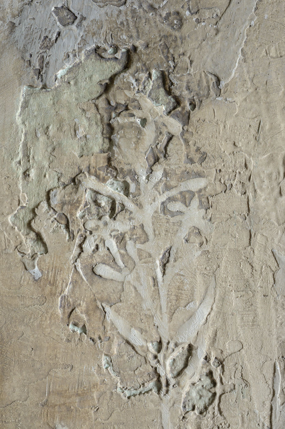 Dettaglio floreale di pittura murale a bassorilievo con calce e pigmenti naturali.