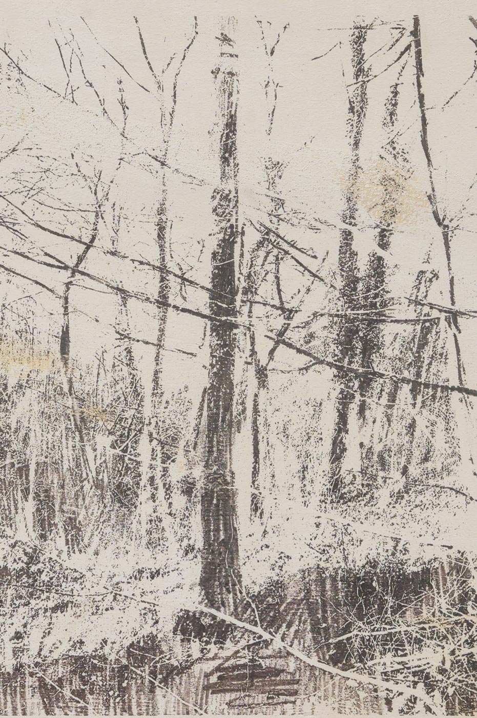 Monotipia su parete: pittura murale con effetto disegno a carboncino, di Giada Giuliani